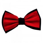 Red & Black Double Coloured Bow Tie
