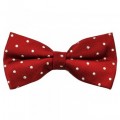 red-white-polka-dot-silk-bow-tie-p8875-20632_medium